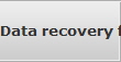 Data recovery for Jamestown data